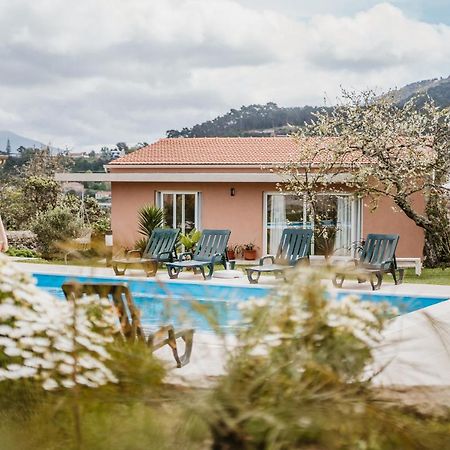 Forno House - Ameixoeira Vila Praia de Âncora Eksteriør billede