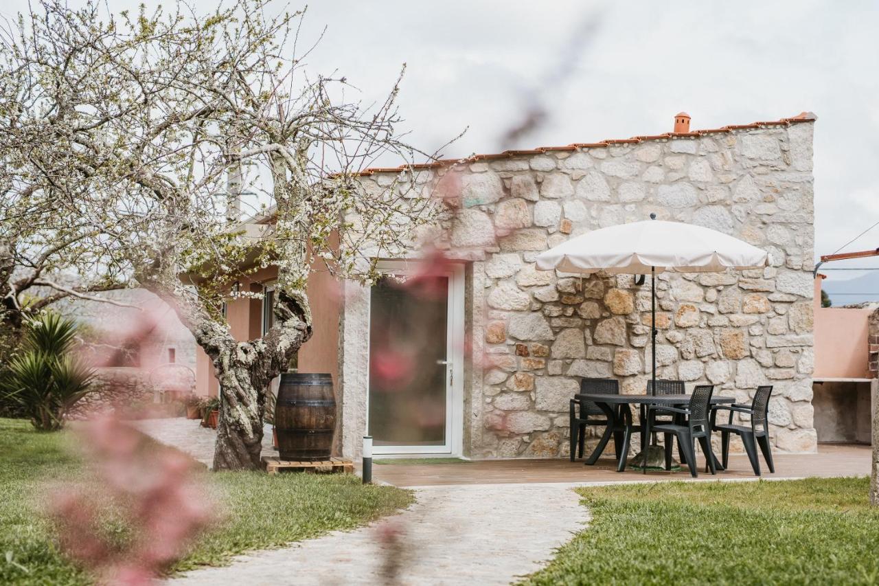 Forno House - Ameixoeira Vila Praia de Âncora Eksteriør billede